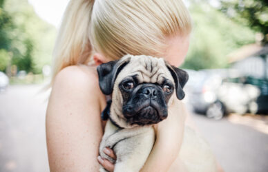 Blonde person hugs concerned pug.