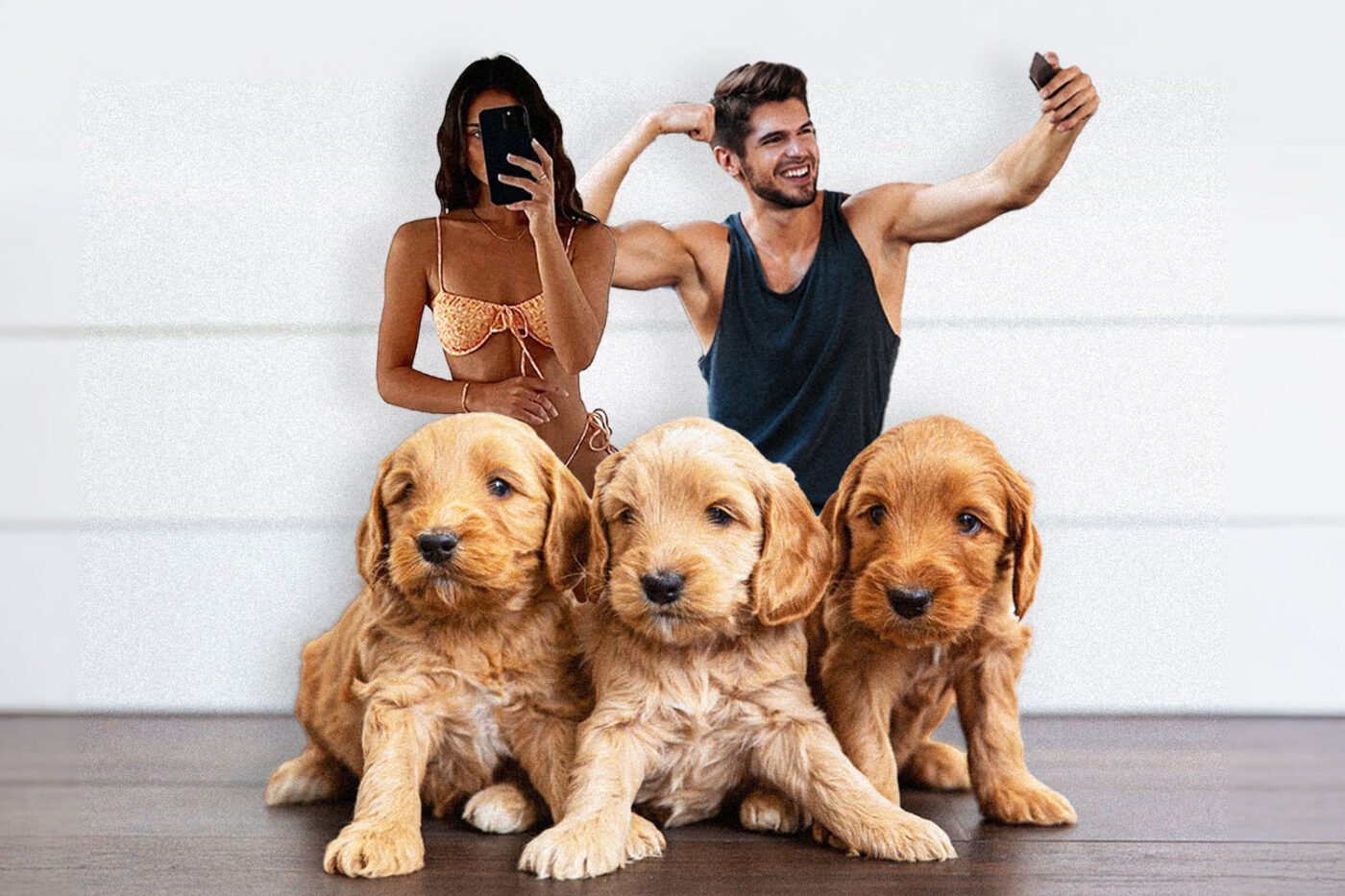 Two people take selfie with adorable golden retrievers.