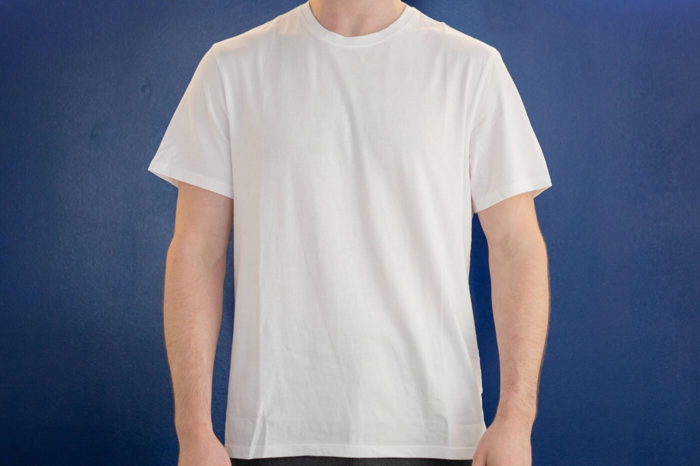 Everlane white tee on model 