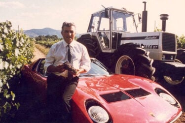 Man with grapes leans on Lamborghini near vineyard.