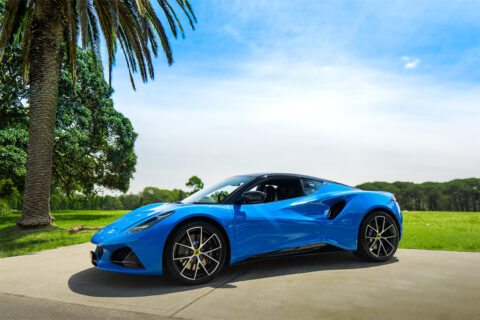 Blue sports car parked under palm tree.