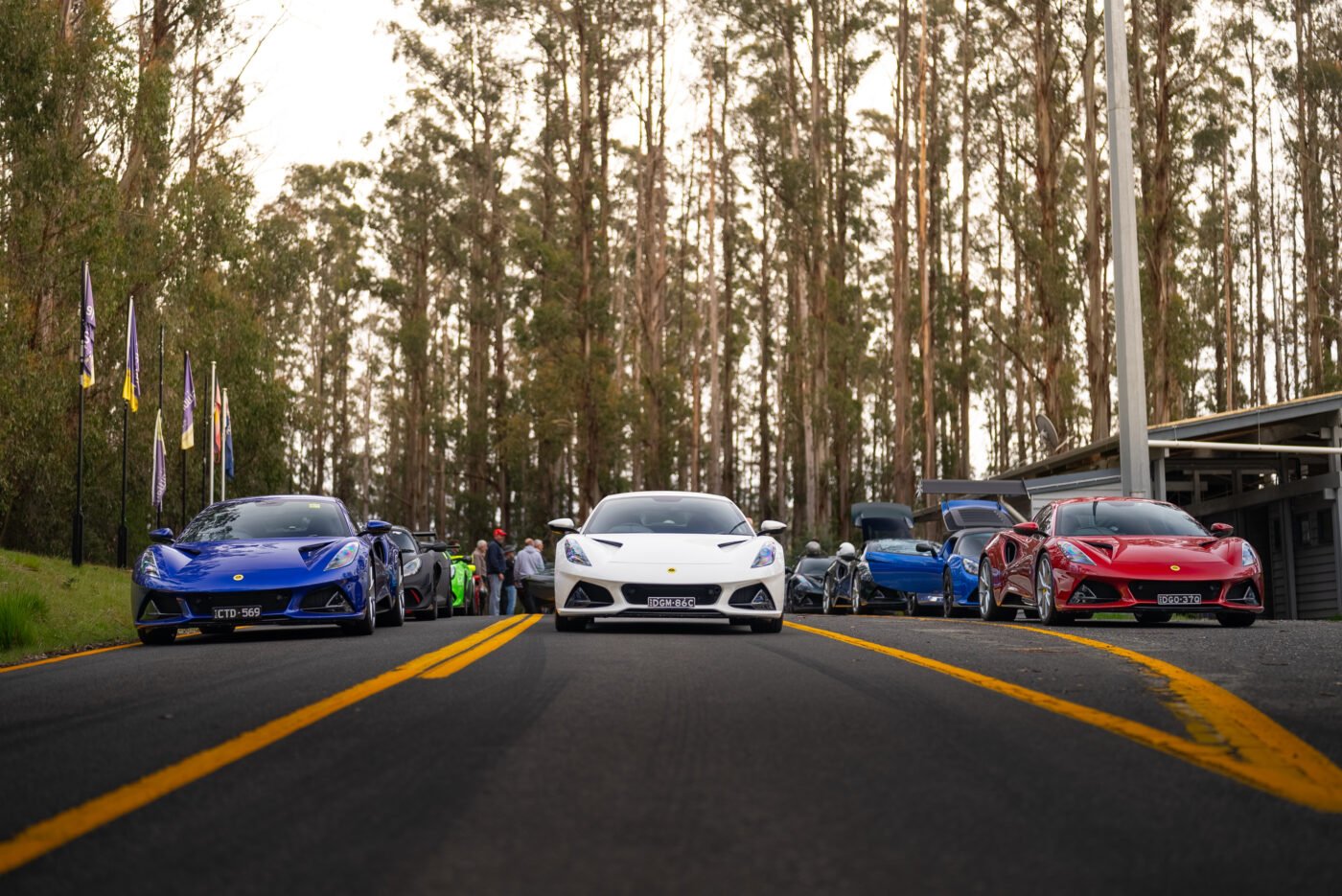 Lotus Sports cars, various colors, parked by trees.