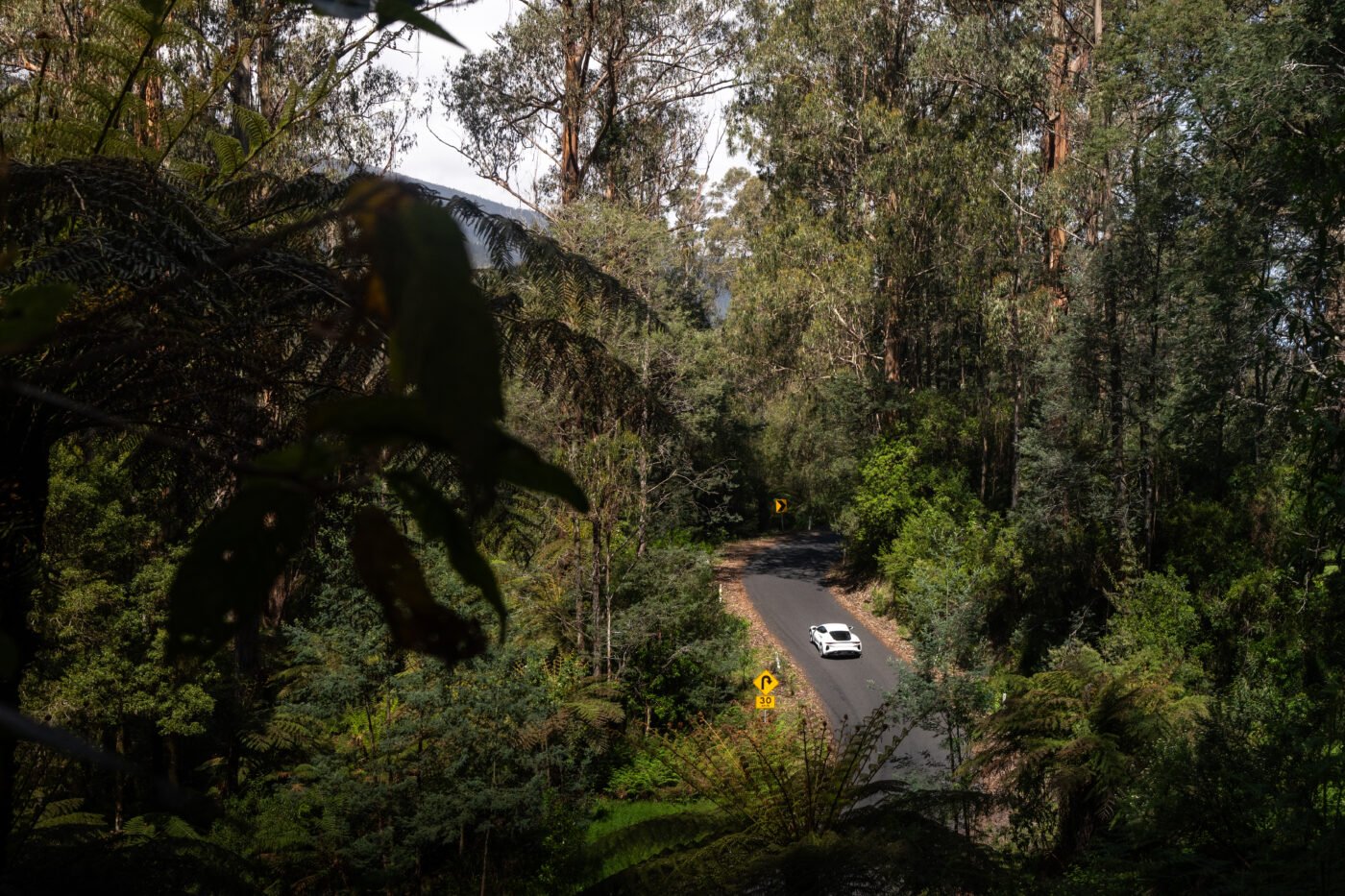 Lotus car driving through forest