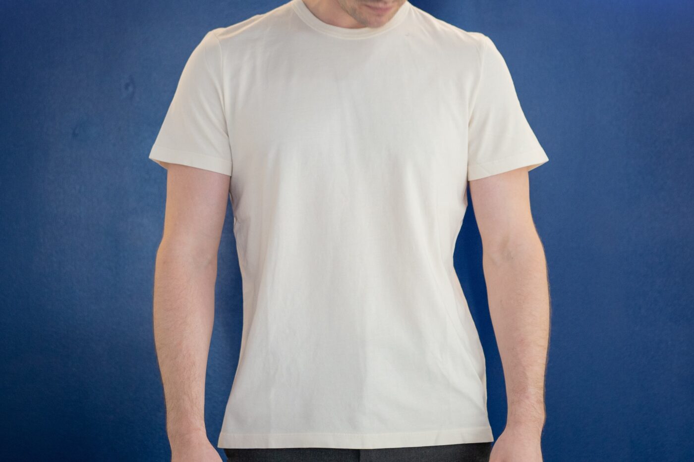 Taylor Stitch white tee on model 