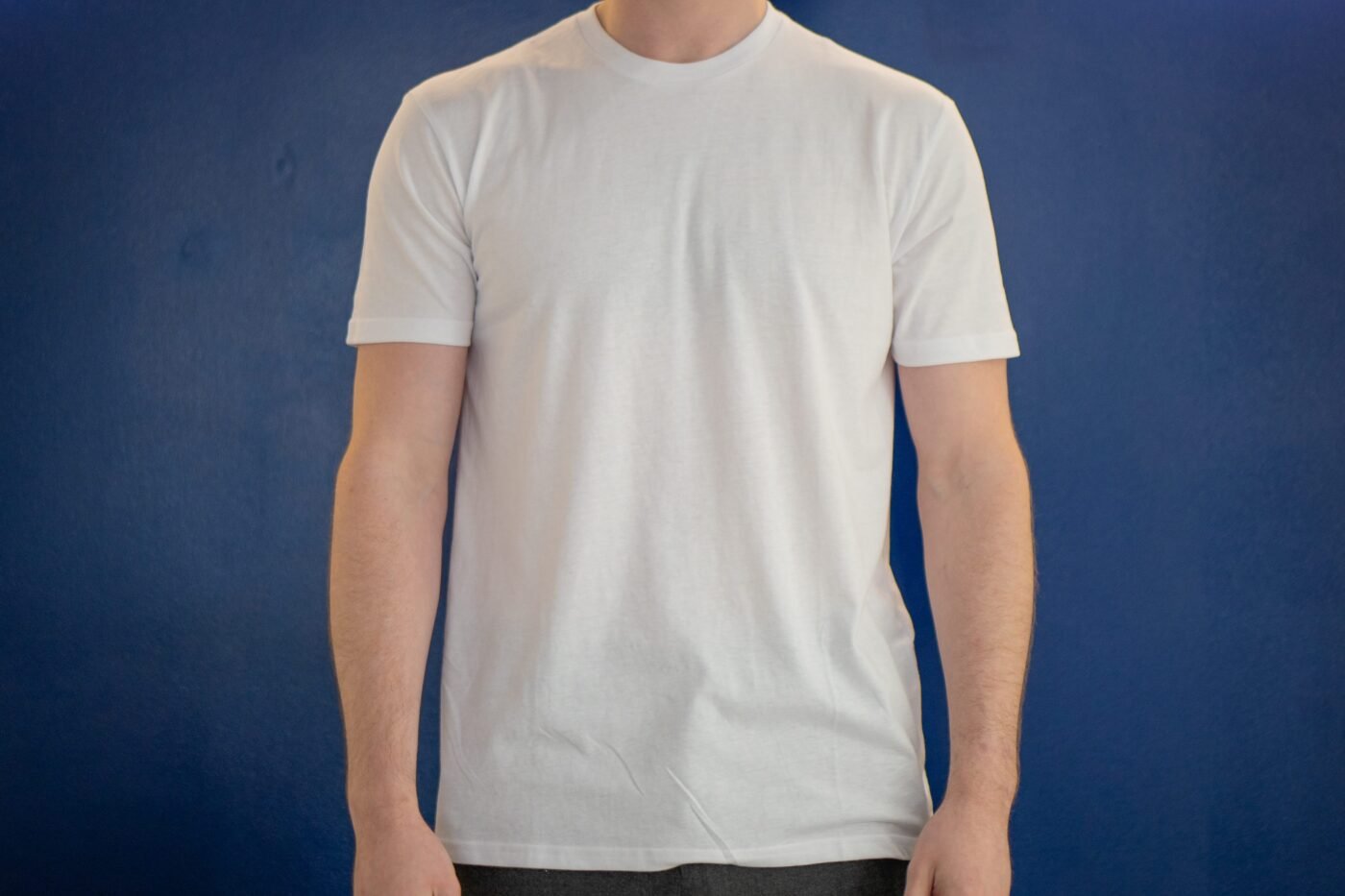 True classic white tee on model 