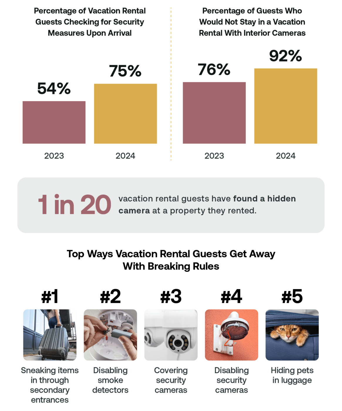 Vacation Rental Privacy Data Infographic